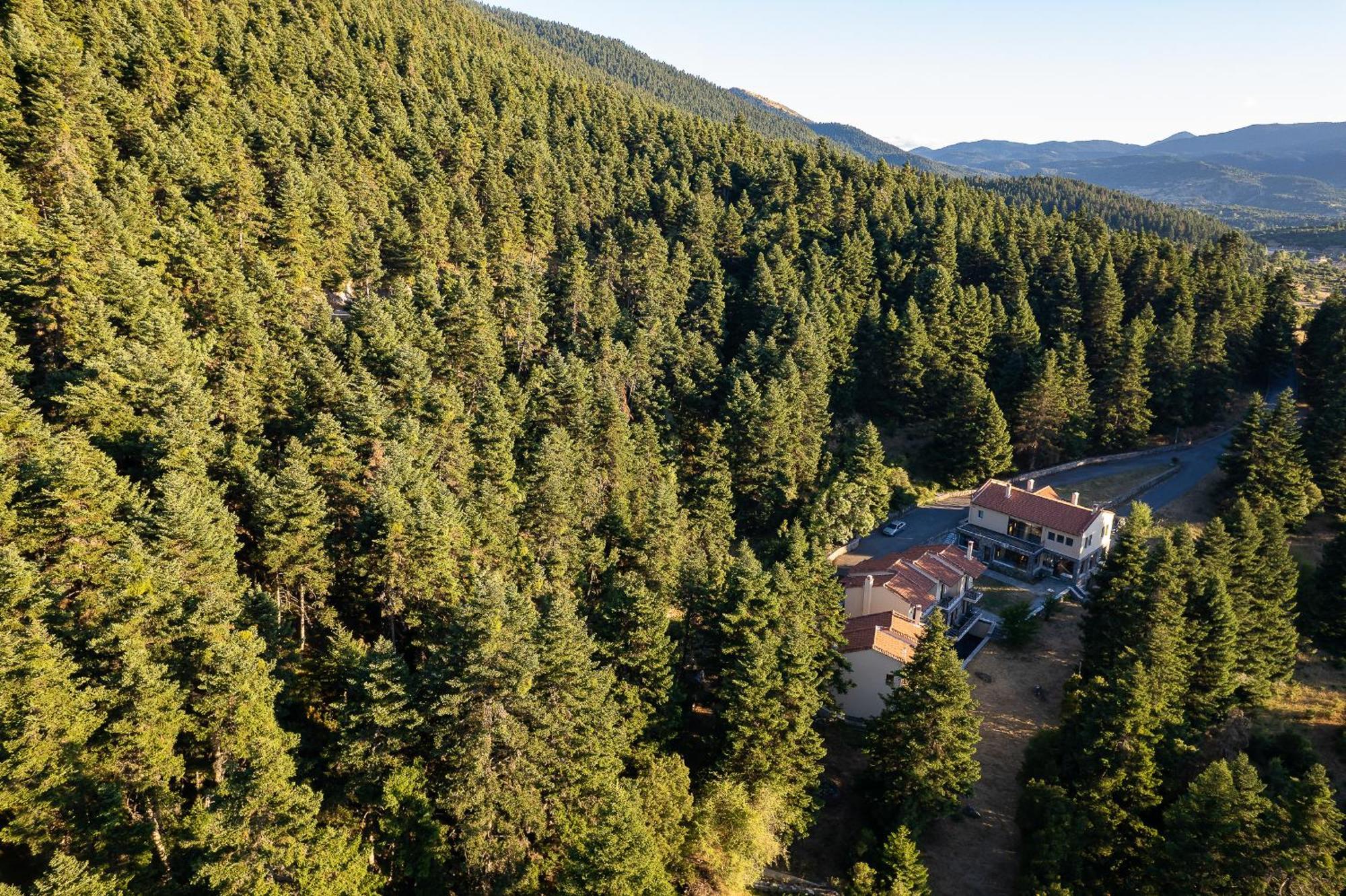 Natura Hotel Вітіна Екстер'єр фото