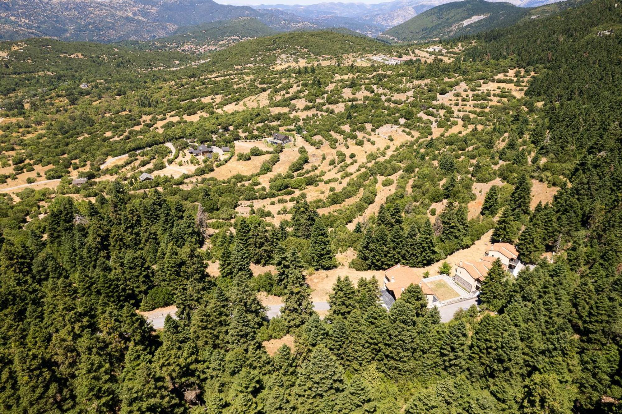 Natura Hotel Вітіна Екстер'єр фото